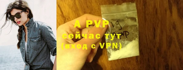 ALPHA-PVP Новозыбков