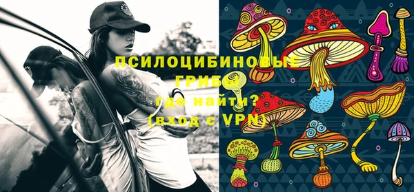 ALPHA-PVP Новозыбков
