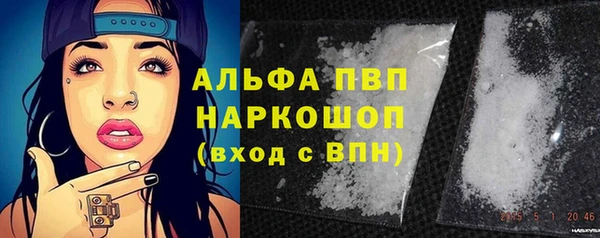 ALPHA-PVP Новозыбков