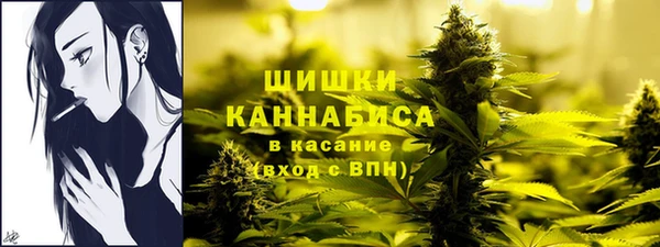ALPHA-PVP Новозыбков