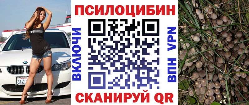 Псилоцибиновые грибы Cubensis как найти наркотики Владикавказ