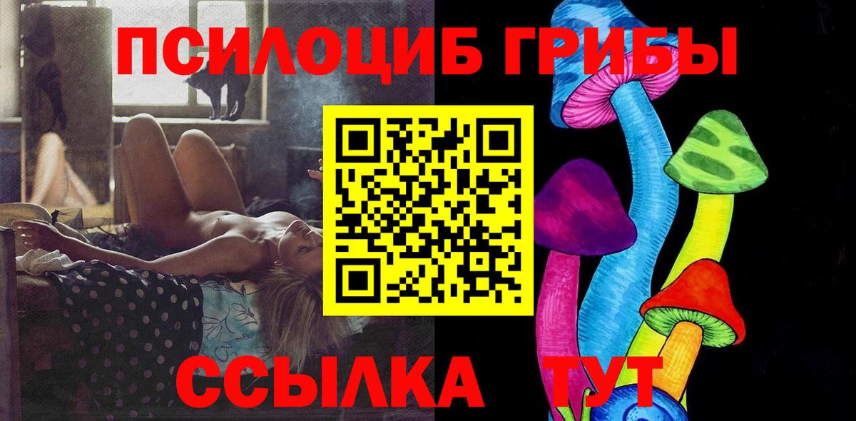 цены наркотик  Вход с VPN  Владикавказ  Псилоцибиновые грибы Psilocybine cubensis 